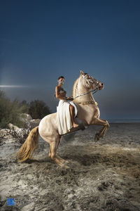 View of horse on the beach