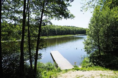 Scenic view of lake in forest against sky