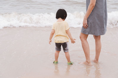 Rear view of friends enjoying at beach
