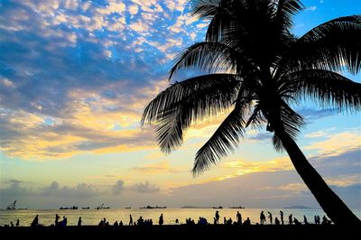 Silhouette of palm trees at sunset