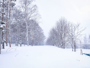 Bare trees on snow covered field against sky