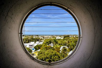 Trees and buildings seen through window