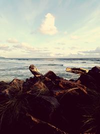 Scenic view of sea against sky