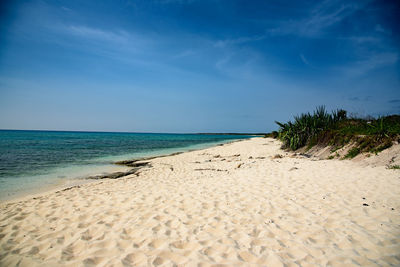 Scenic view of beach against clear blue sky