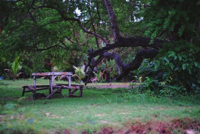 Empty bench in park