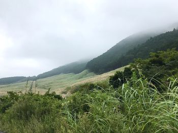 Scenic view of landscape against sky