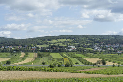 Scenic view of agricultural field against sky