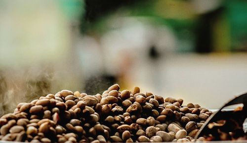 Close-up of coffee beans