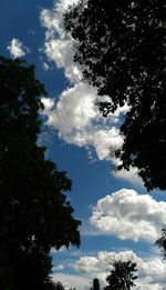 Low angle view of trees against cloudy sky