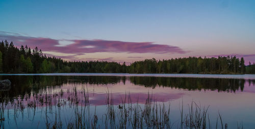 Reflection of trees in lake during sunset