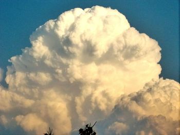 Low angle view of cloudy sky