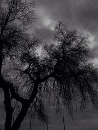 Low angle view of bare tree against sky