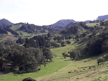 Scenic view of field against clear sky