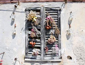 View of birds on window