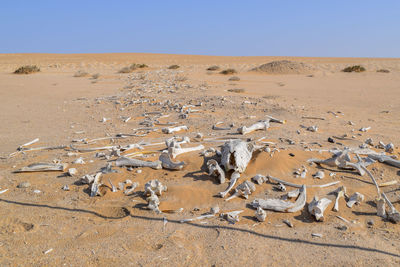 Aerial view of a desert