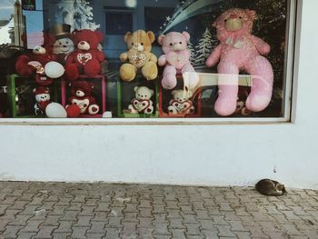 Stuffed toy by window against wall