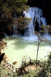 View of waterfall in forest