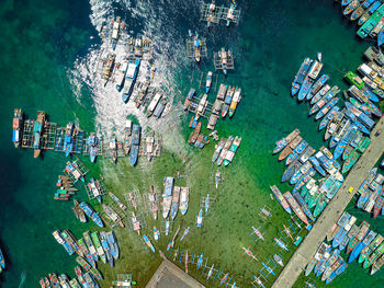 High angle view of plants by sea