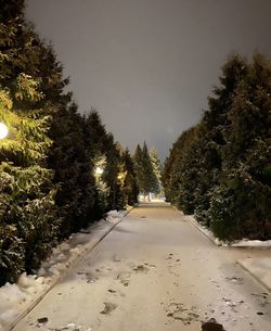 Road amidst trees against sky during winter