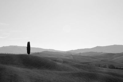 Scenic view of field against clear sky