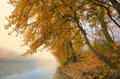 Conceptual love you forever couple in autumn forest