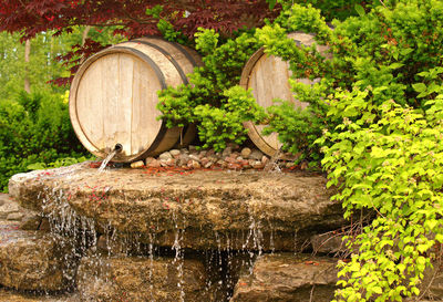 Two fliwing barrels in a park