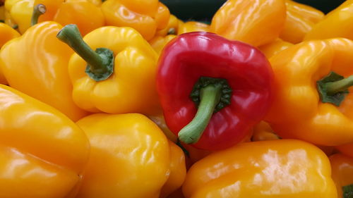 Full frame shot of bell peppers