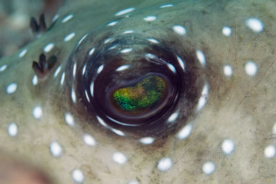 Full frame shot of wet glass