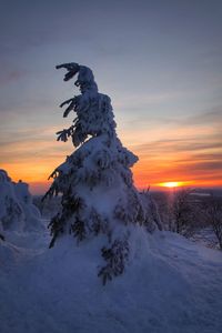 Scenic view of snow covered land against sky during sunset