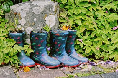 Low section of woman standing by plants