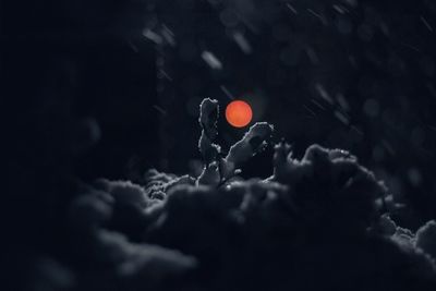 Close-up portrait of red balloons in the dark
