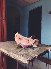 Interior of abandoned house