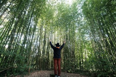 Rear view of man standing by trees in forest