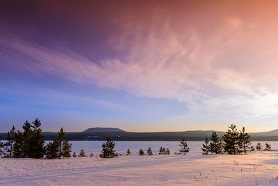 Scenic view of landscape against sky during winter