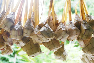 Close-up of clothes hanging in store