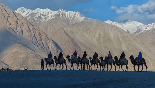 Group of people riding camels