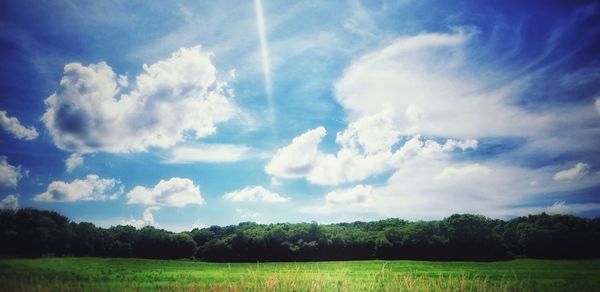 Panoramic view of trees on field against sky