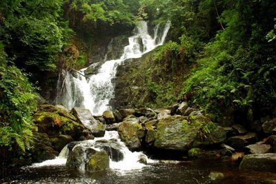 Stream flowing through rocks in forest