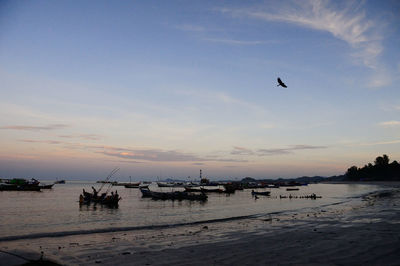 Silhouette birds flying over sea against sky during sunset