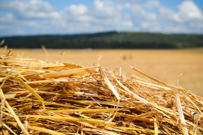 Close-up of hay bales on field against sky