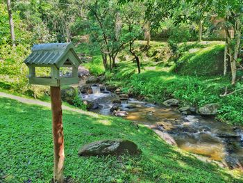 Scenic view of green landscape