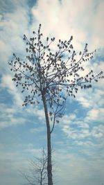 Low angle view of bare tree against cloudy sky