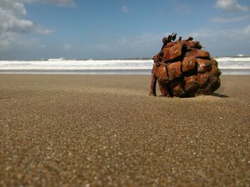 Rocks on beach against sky