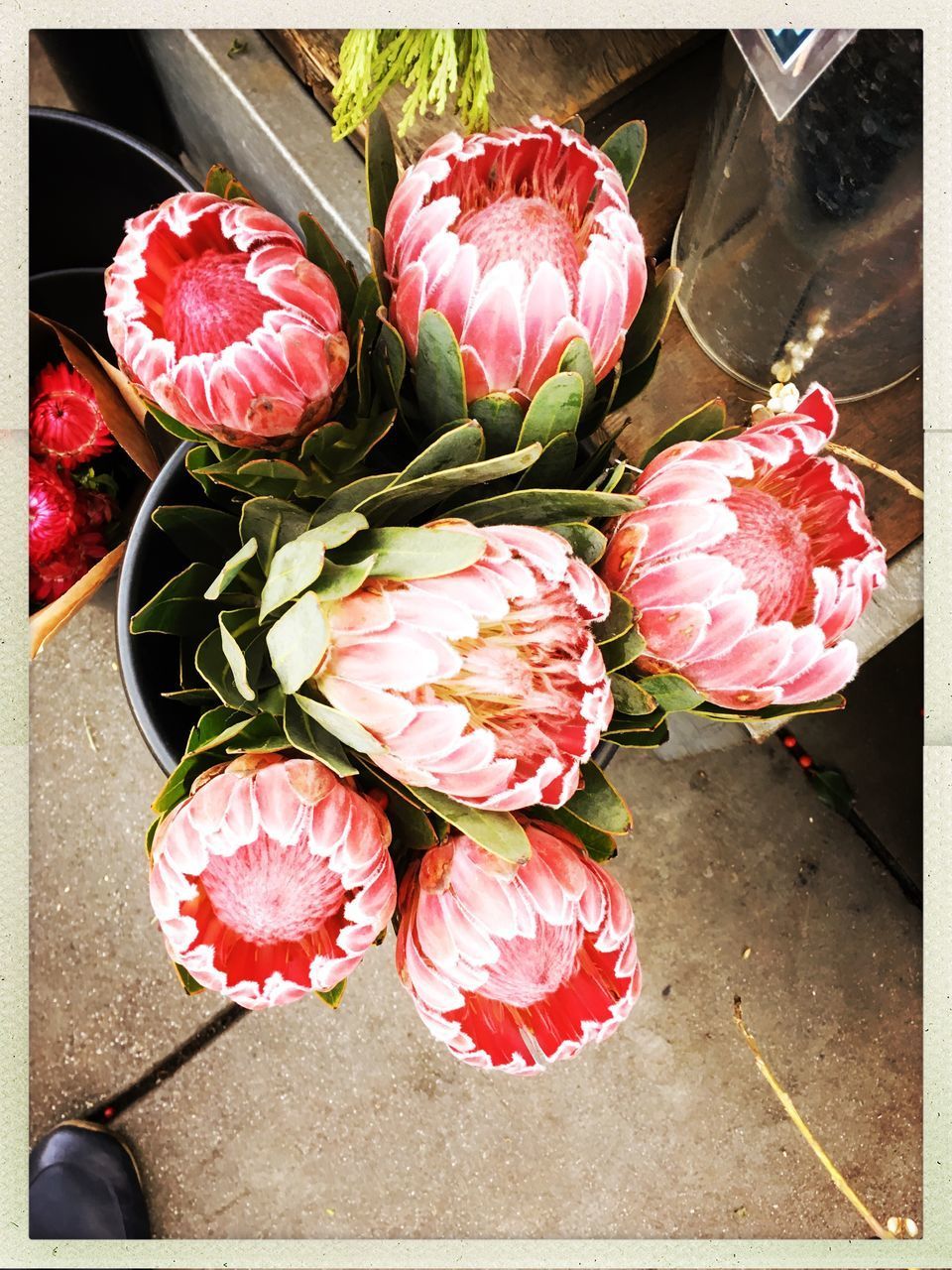 HIGH ANGLE VIEW OF PINK ROSE BOUQUET IN MARKET