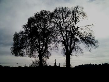 Silhouette of trees at sunset