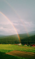 Rainbow over field