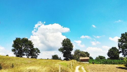 Trees on field against sky