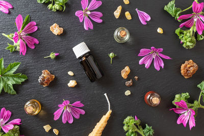 High angle view of pink flowers on table