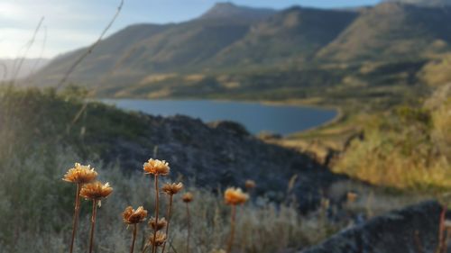 Scenic view of mountains