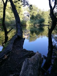 Scenic view of lake in forest